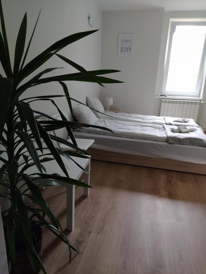 Pensjonat Tezniowa 6 Ciechocinek Habitación foto
